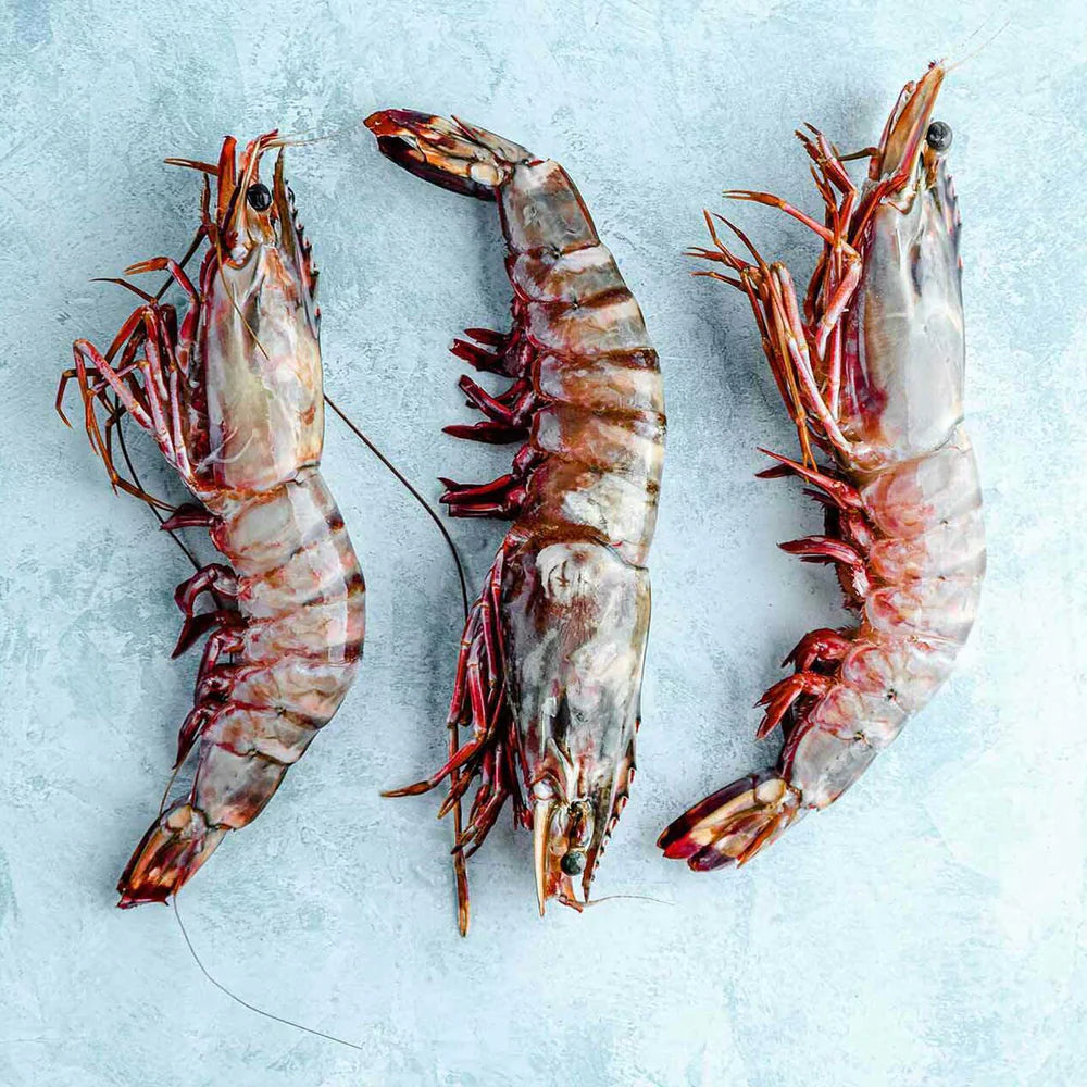 Jumbo king prawn SIZE 4/6 head 珍寶大虎蝦 (2-3 per bag)