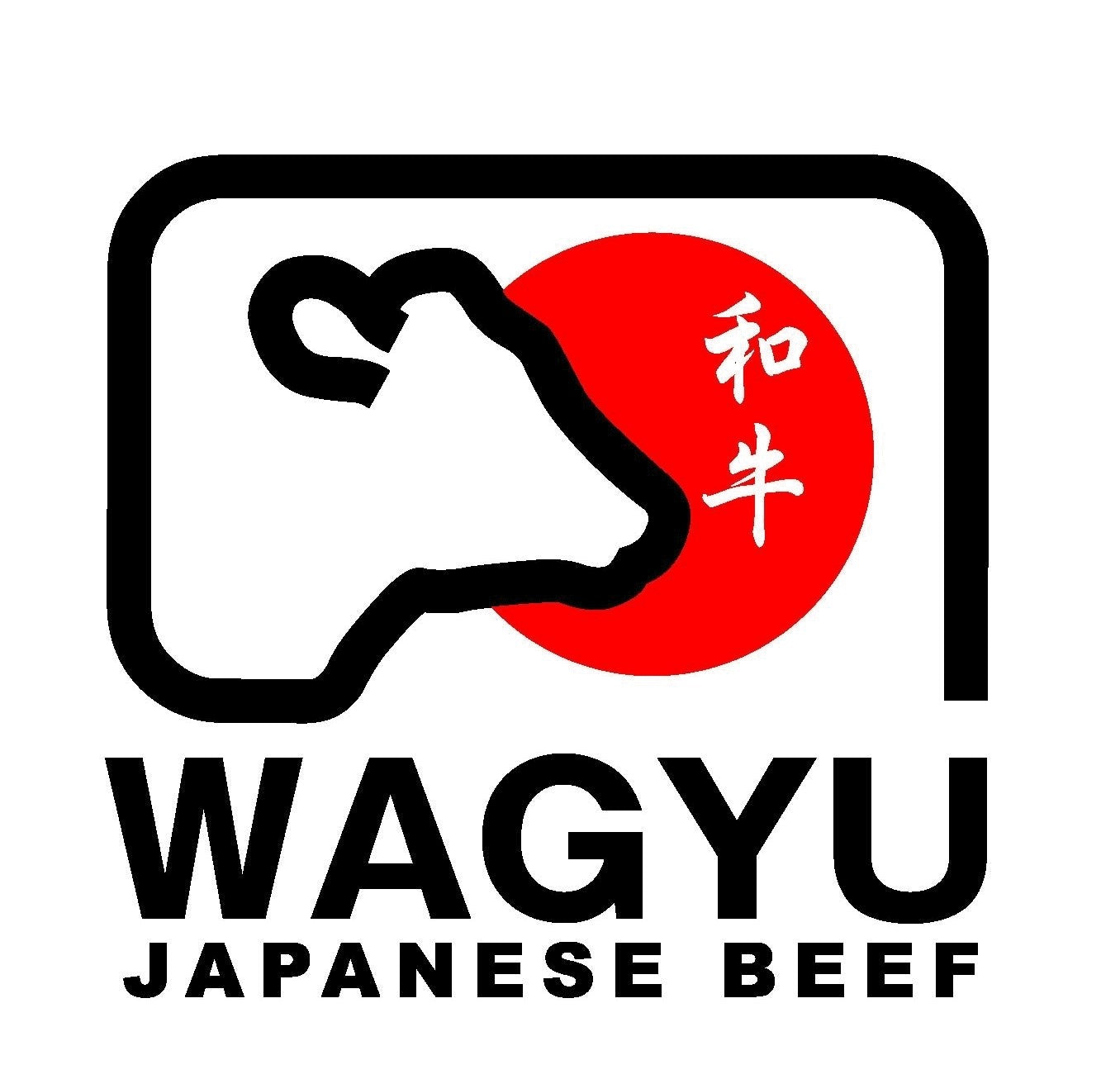 Japanese Hida Wagyu Slice日本飛驒和牛火鍋切片