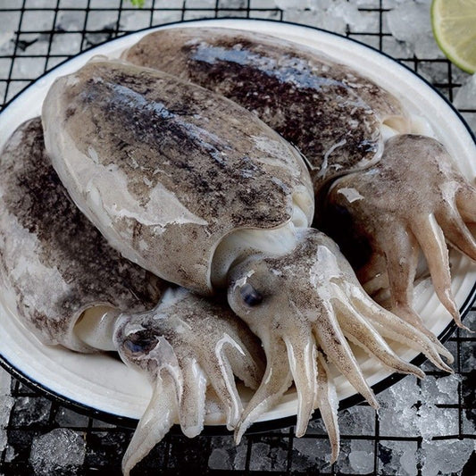 Cuttlefish 墨鱼(Cleaned and Sliced  已切片)